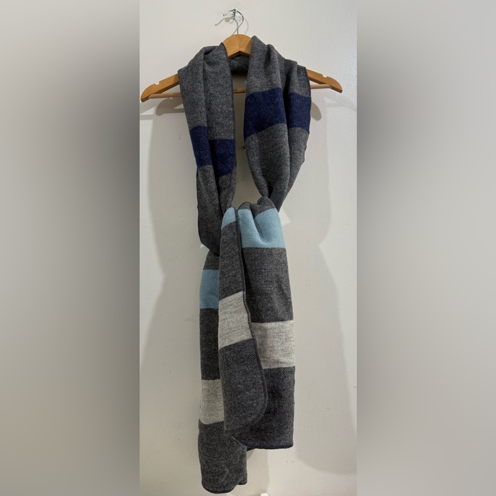 Steven Alan Gray and Blue Striped Scarf